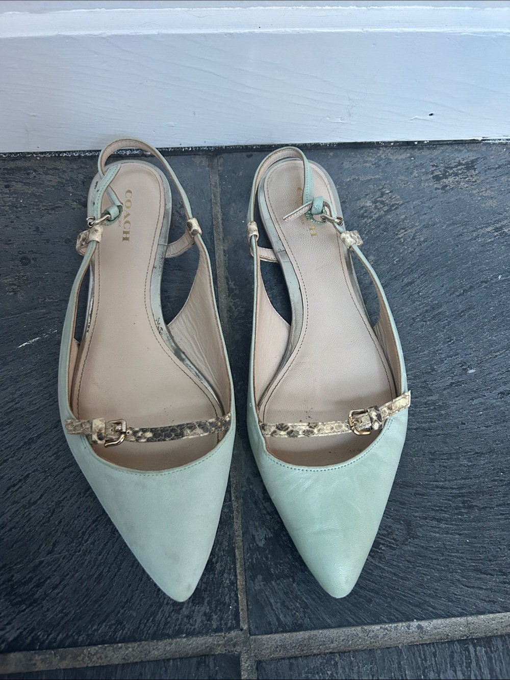 COACH Mint Green Leather Pointed-Toe Slingback Flats